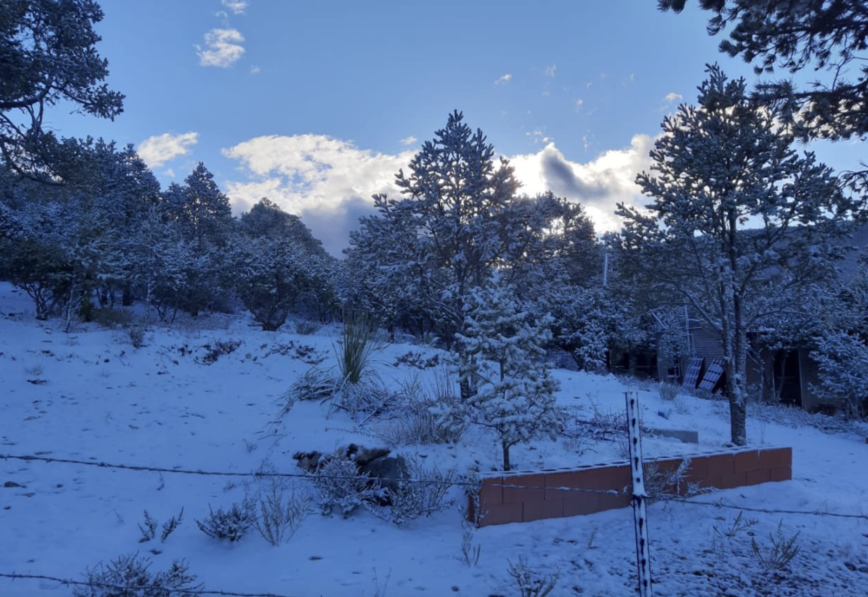 ¡Abrígate! Conagua advierte caída de nieve y lluvias en Coahuila HOY 9 de enero